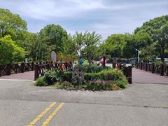 -荷塘月色湿地公园·向阳花洲