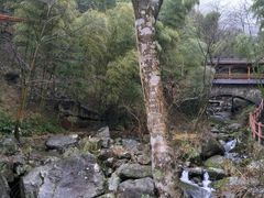 -藏龙百瀑风景区