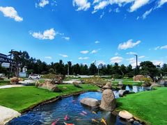 -罗红摄影艺术馆