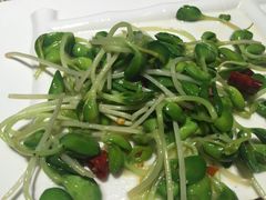 -素虎小呆鸟(西二旗店)