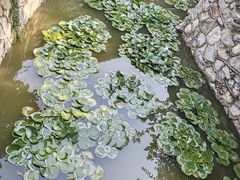 -莲池书院博物馆
