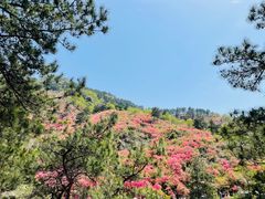 -木兰云雾山