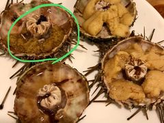 -海胆小馆(东北水饺·春柳店)