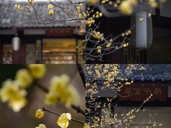 -成都杜甫草堂博物馆