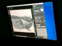 android_upload_pic-爱侣宠医·鹦鹉专科·小型哺乳类·异宠专科(灵石路店)