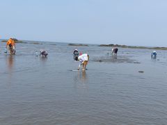 -辽宁团山国家级海洋公园