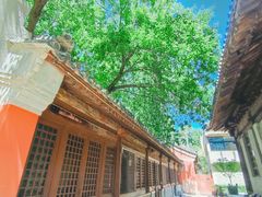 -嵩祝寺及智珠寺