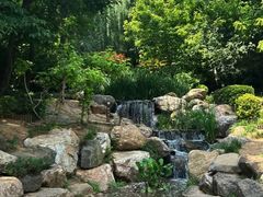 -大连植物园