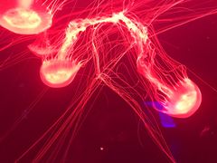 -多彩贵州城极地海洋世界