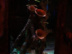 -沈阳海洋探索中心