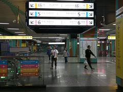 -大龙山(地铁站)