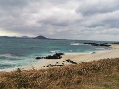 -牛岛王子面馆