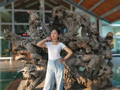 -雅安楠水阁温泉酒店