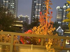 -吴越荣记苏州菜·松鼠桂鱼100%活鱼现做(斜塘老街店)