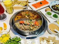 -浩爷羊蝎子火锅(望京店)