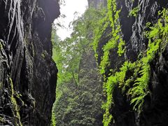 -白草畔自然风景区