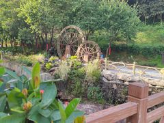 -广州白江湖森林公园