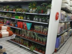 -美廉美多点(新龙店)