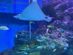-海合安成都极地海洋公园
