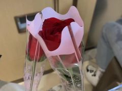 -海底捞火锅(外滩店)
