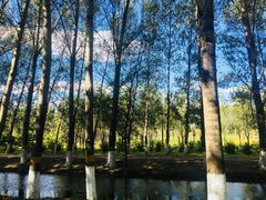 -东郊湿地公园