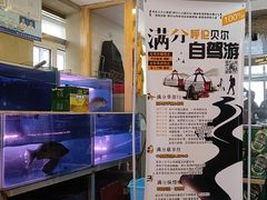 -粘豆包铁锅炖二部(温泉街店)