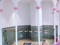-龙格亲子游泳·水育早教运动中心(绿城店)