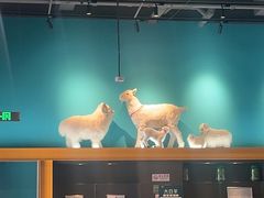 -大白羊蝎子馆(后沙峪山姆店)