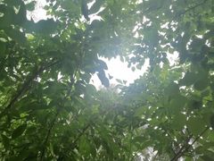 -长春公园(普阳街道)