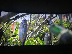 -上河影城(运河城店)