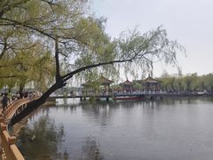 -长春市南湖公园