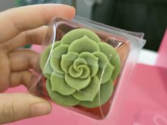 乌龙清梅月饼-星巴克(1788广场店)