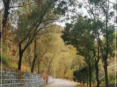 -云岫谷游猎自然风景区