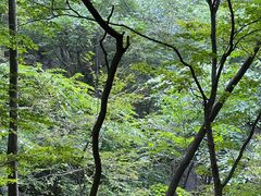 -苍岩山风景名胜区