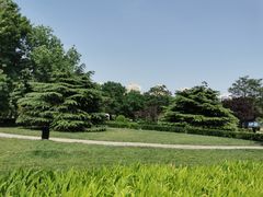 -方庄体育公园
