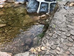 -南海湾森林生态园