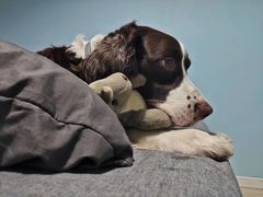 -喵汪宠物生活馆(涞坊路店)