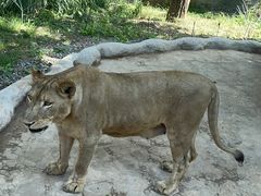 -北京野生动物园