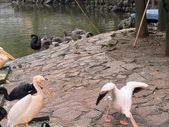 -黔灵山公园-南门售票处