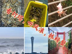 -上海吴淞炮台湾国家湿地公园