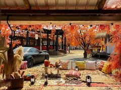 -Blue Concept Cafe&Farm·關於藍