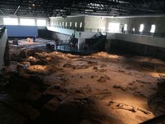 -自贡恐龙博物馆