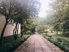 -法云安缦酒店