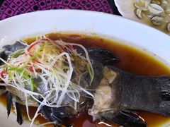 -小厨子私房菜·云南美食店
