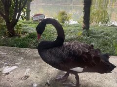 -上海怡沁园度假酒店