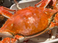 飞蟹-一方渔歌蒸汽海鲜自助(文化路万达广场店)