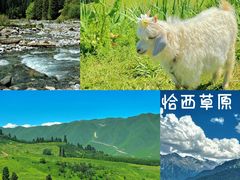 -赛里木湖风景名胜区