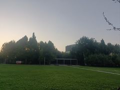 -大望京公园