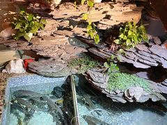 -山水茶艺馆·点心粤菜·30年老字号