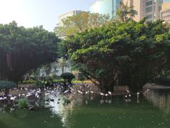 -九龙公园